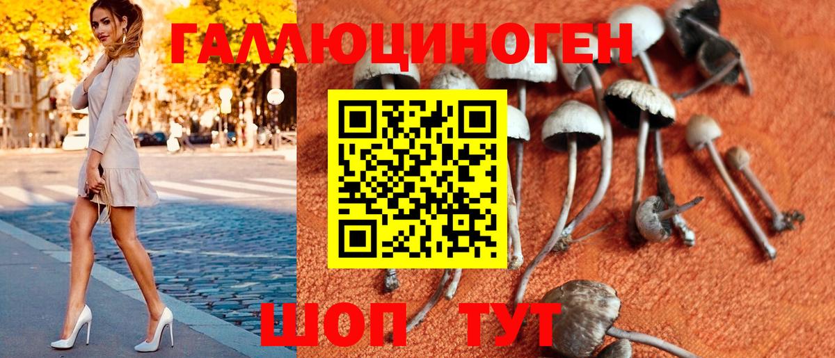 Рузаевка  Галлюциногенные грибы Psilocybe  Вход с VPN  Галлюциногенные грибы прущие грибы 
