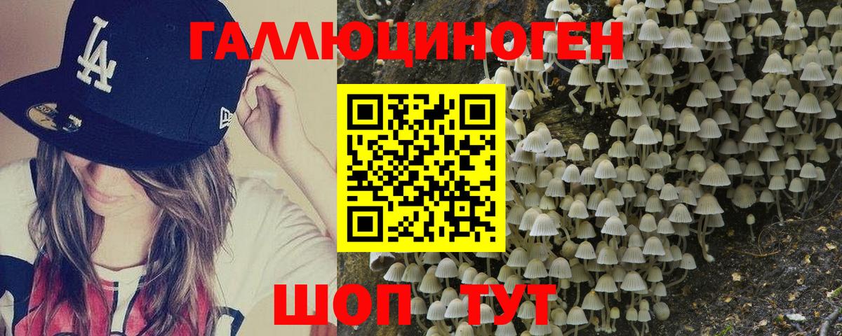 Галлюциногенные грибы мухоморы Рузаевка
